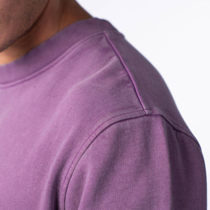 Sweatshirt en 100% coton biologique Winter Violet - Homme