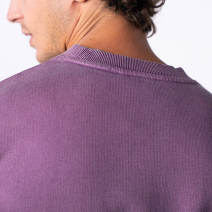 Sweatshirt en 100% coton biologique Winter Violet - Homme