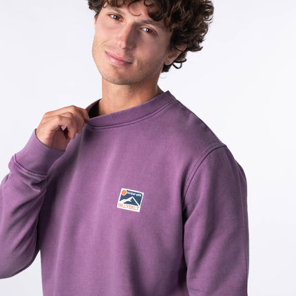Sweatshirt en 100% coton biologique Winter Violet - Homme