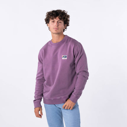 Sweatshirt en 100% coton biologique Winter Violet - Homme