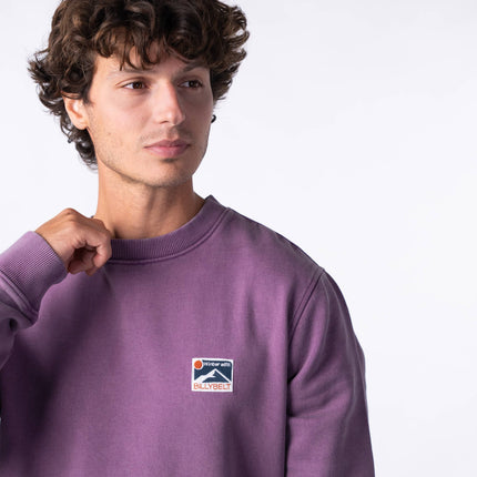 Sweatshirt en 100% coton biologique Winter Violet - Homme